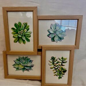 Succulent Wall Decor 🌱